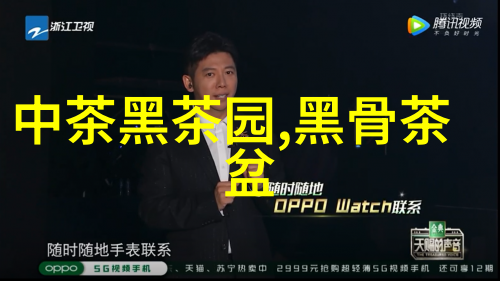 普洱茶采摘时