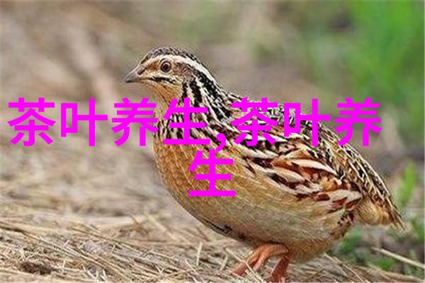 预防流感喝红茶