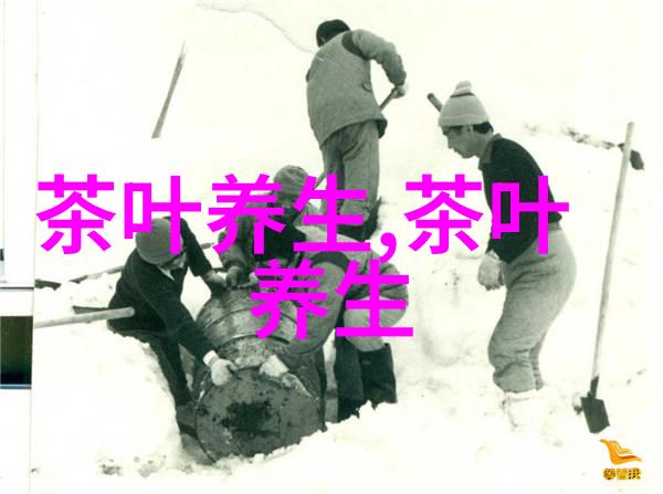 黑茶 茶杯中美容院