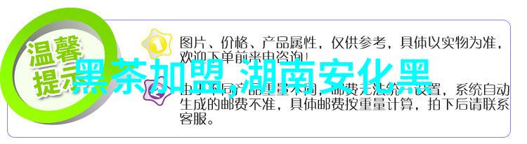 湖北黑茶略述